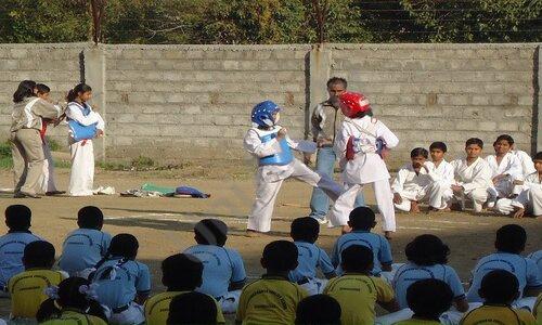 Chate School — photo 5