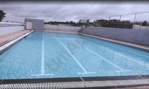 Chrysalis High — photo 6