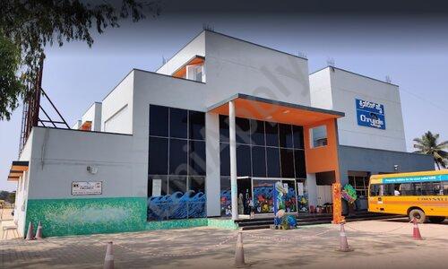 Chrysalis High — photo 1