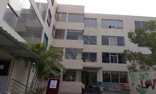 Chrysalis High Marq — photo 2