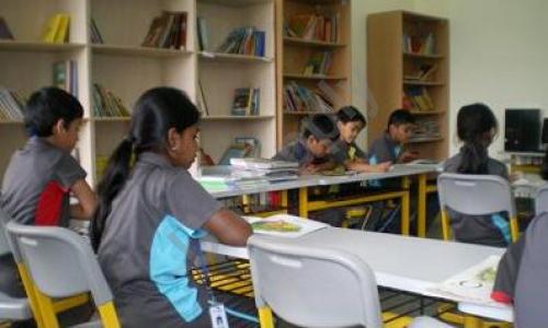 Chrysalis High Marq — photo 6
