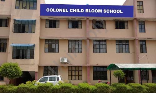 Colonel Child Bloom School — photo 1