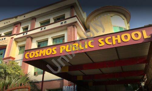 Cosmos Public School — photo 2