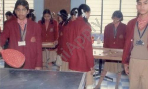 Cosmos School — photo 4