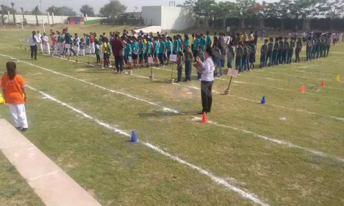 D.S. International School — photo 5