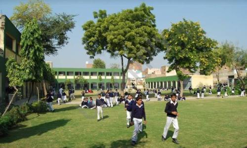 D.V. Public Senior Secondary School — photo 1