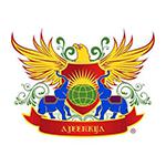 D Y Patil International School logo