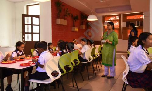 Darbari Lal Foundation World School — photo 3