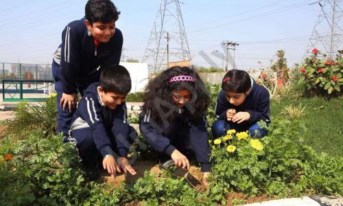 Darbari Lal Foundation World School — photo 6