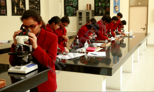 DAV Public School — photo 2