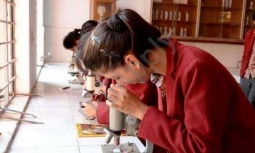 DAV Public School — photo 5