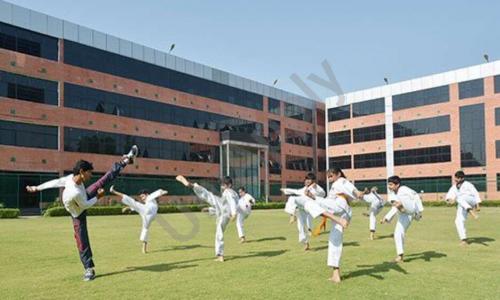 Delhi International School — photo 6