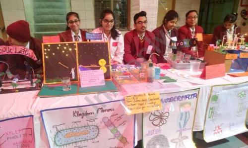 Delhi Jain Public School — photo 7