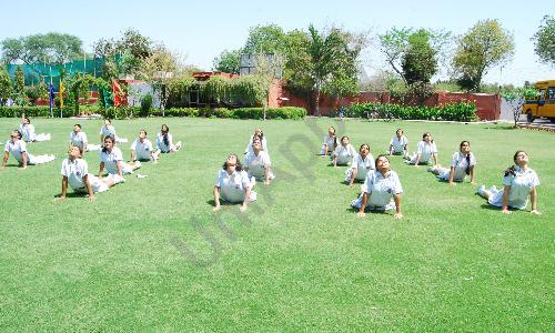 Delhi National Public School — photo 4