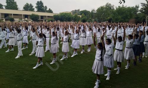 Delhi National Public School — photo 5
