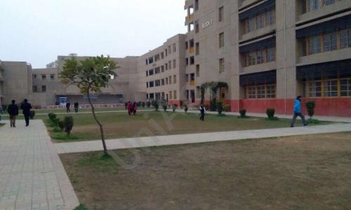 Delhi Public School — photo 7