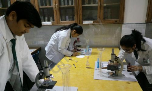 Delhi Public School — photo 3