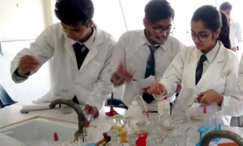 Delhi Public School — photo 4