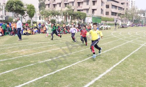 Delhi Public School — photo 3