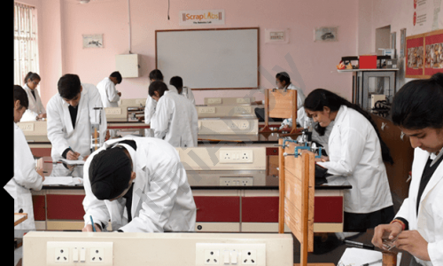 Delhi Public School — photo 10