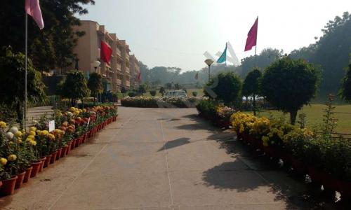 Delhi Public School — photo 4
