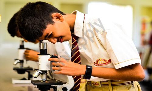 Dev-In National School — photo 5