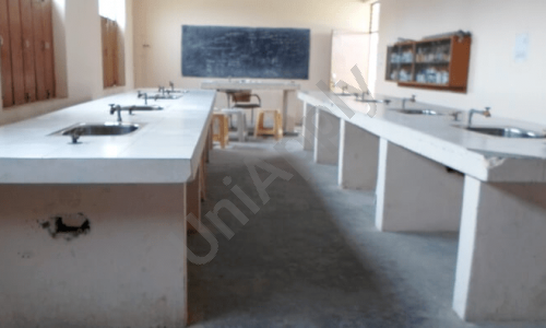 Dhankhar Senior Secondary School — photo 2