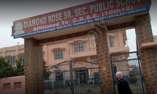 Diamond Rose Public School — photo 1