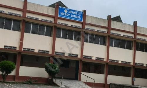Divine Mercy School — photo 1