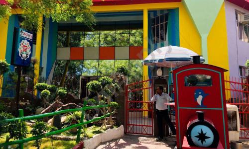 Dolphin Kids School — photo 2