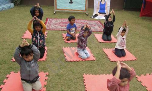 Dolphin Kids School — photo 8