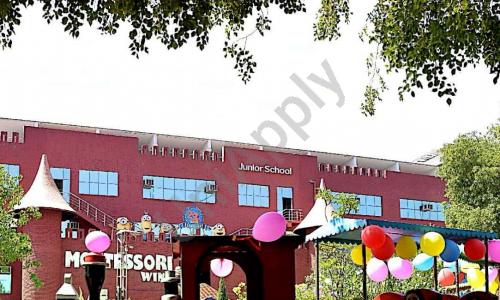 Dolphin Kids School — photo 11