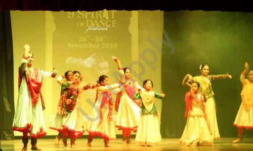 Dolphin Kids School — photo 20
