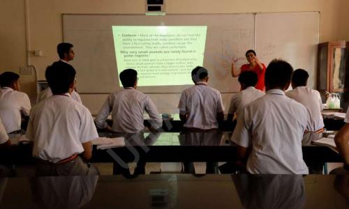 Don Bosco School — photo 7