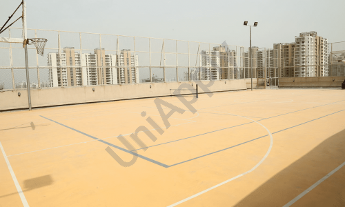 DPS International Edge — photo 2
