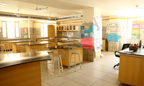 DPS International Edge — photo 3