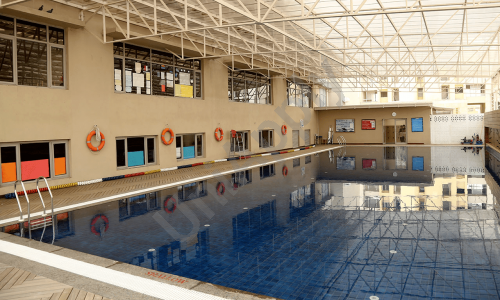 DPS International Edge — photo 6