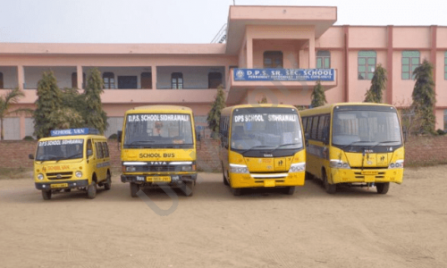 DPS Senior Secondary School — photo 1