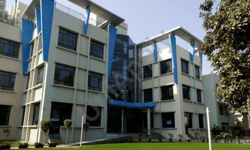 DPSG — photo 2