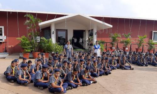 DVS School — photo 1