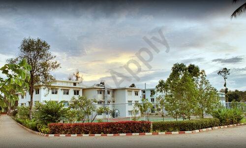 Edify School — photo 1