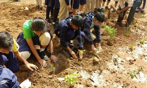 Edify School — photo 4