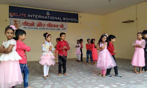 Elite international school — photo 4