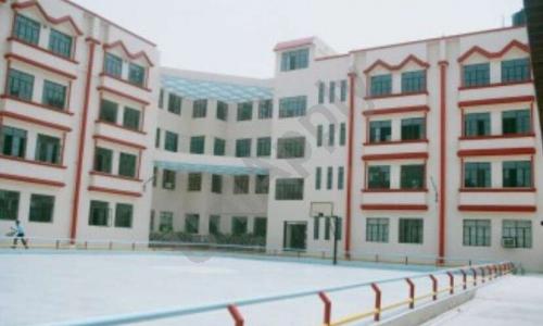 Flora Dale Senior Secondary School — photo 2