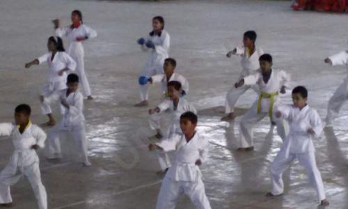 Flying Colours School — photo 6