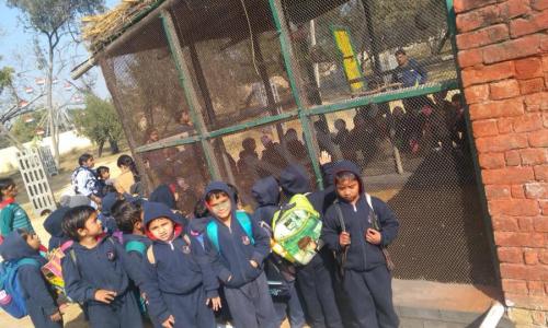 Foundation Public School — photo 9