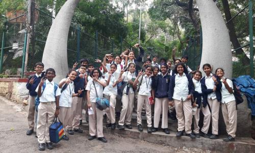 Freedom International School — photo 8