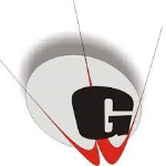 G.D. Goenka Public School logo