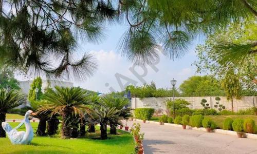 Ganga International School — photo 3