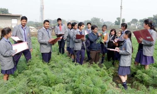 Ganga International School — photo 15